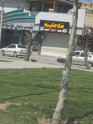 عکس فلافلینو