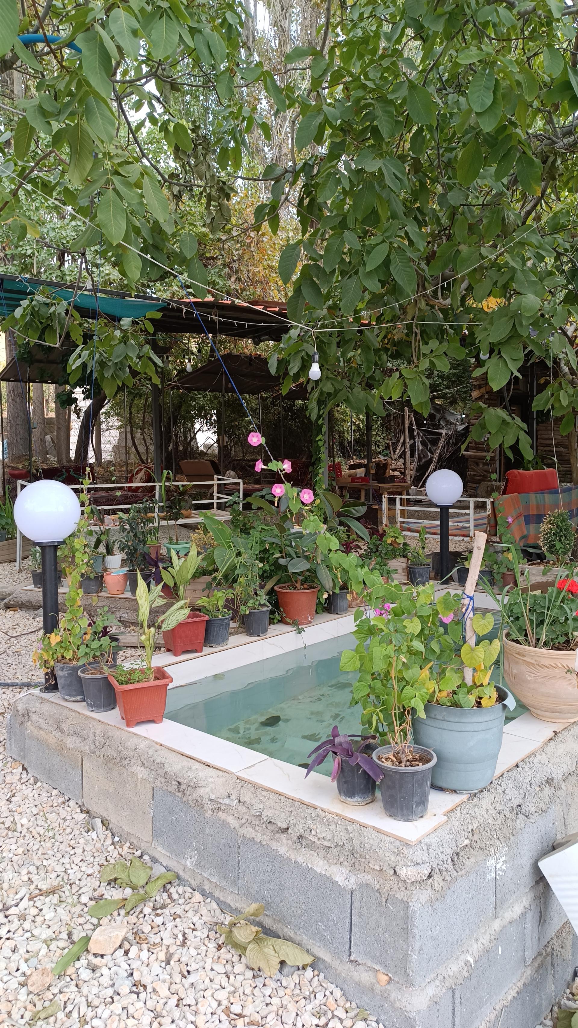 عکس کافه ماهی کباب چشمه ی بهرغان