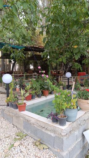 عکس کافه ماهی کباب چشمه ی بهرغان