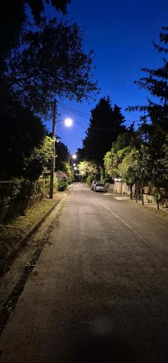 عکس دریا بیشه