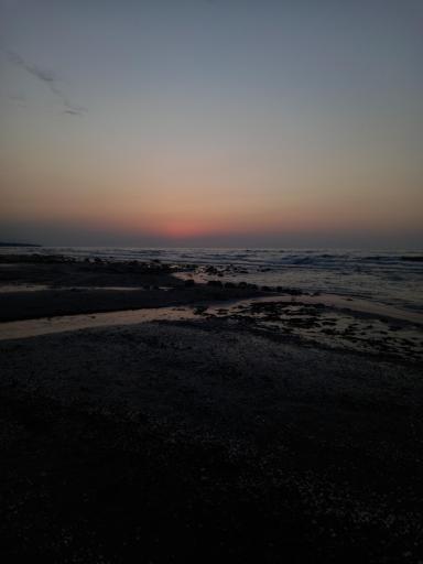 عکس دریا بیشه