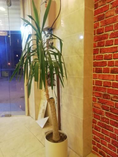 عکس مجموعه غذایی آزامال