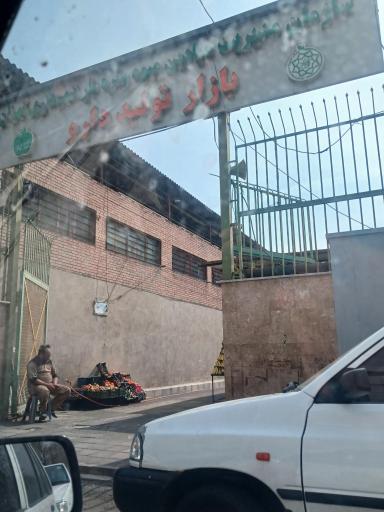 عکس تره بار