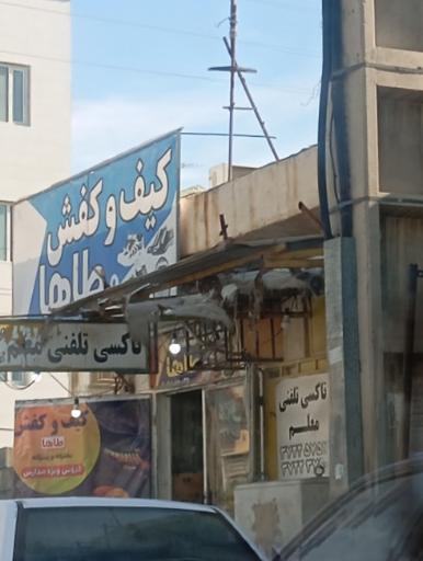 عکس کیف و کفش طاها