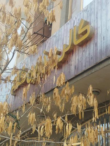 عکس گالری زرین گام