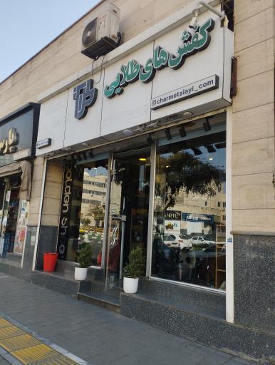 عکس کفش چرم طلایی