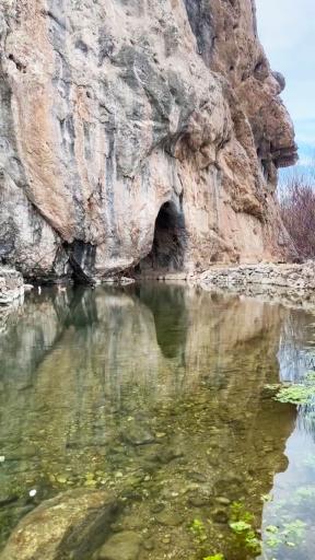 عکس چشمه ماهی بازان