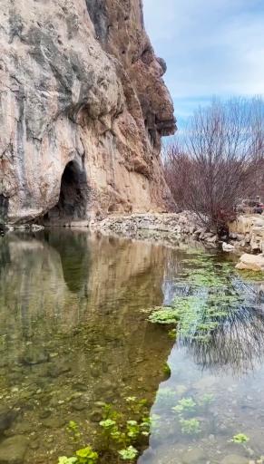 عکس چشمه ماهی بازان