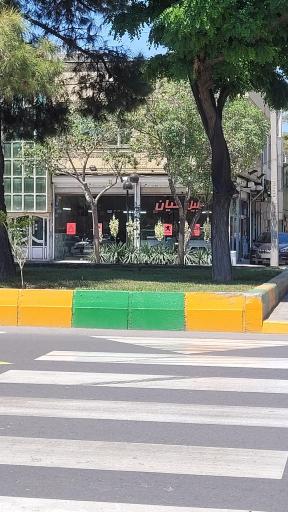 عکس اتومبیل کیان