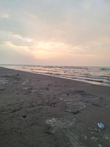 عکس خشک اسطلخ