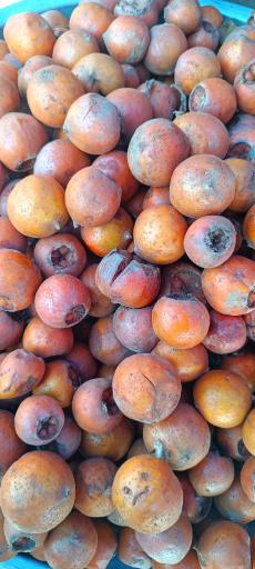 عکس پنجشنبه بازار کلاچای