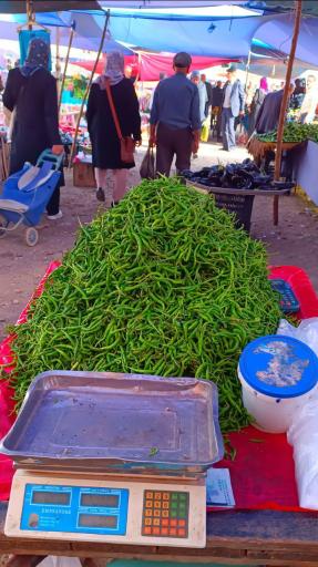 عکس پنجشنبه بازار کلاچای