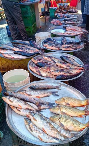 عکس پنجشنبه بازار کلاچای