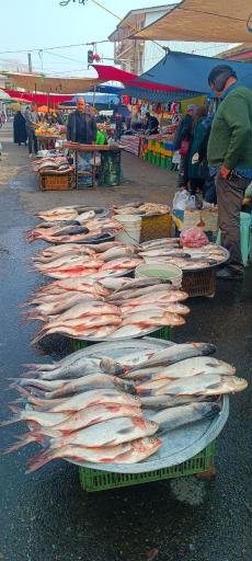 عکس پنجشنبه بازار کلاچای