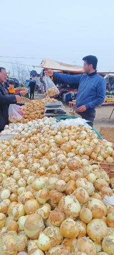 عکس پنجشنبه بازار کلاچای