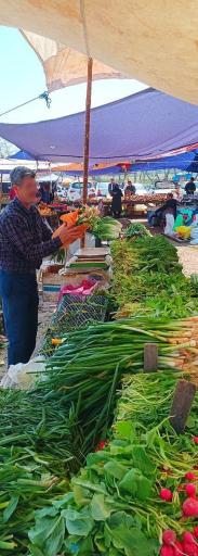 عکس پنجشنبه بازار کلاچای