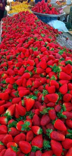 عکس پنجشنبه بازار کلاچای