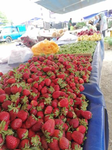 عکس پنجشنبه بازار کلاچای