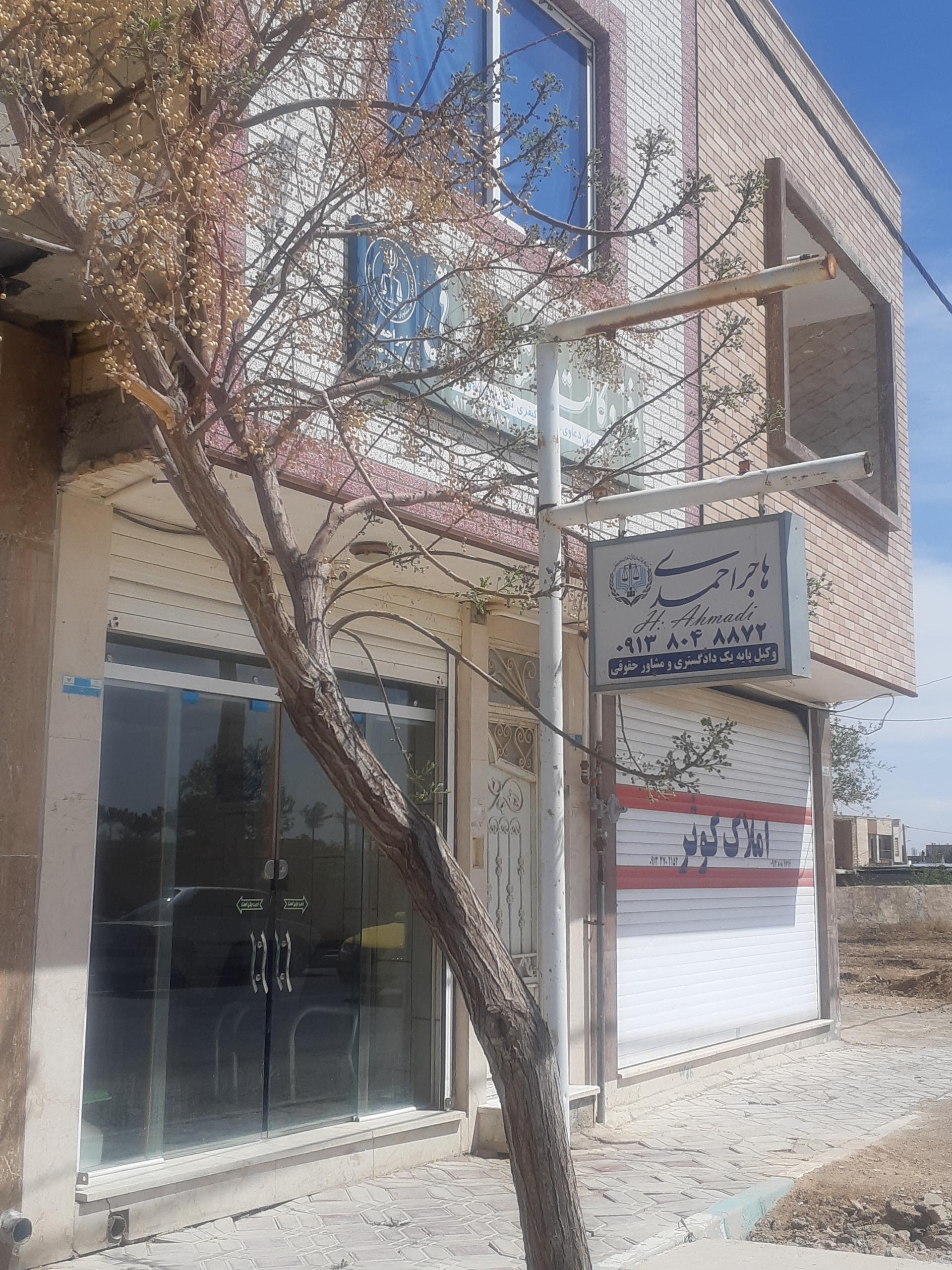 عکس دفتر وکالت هاجر احمدی