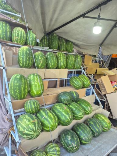 عکس سوپر مارکت باجاناخلار