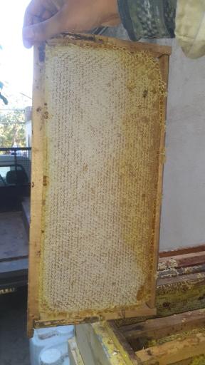 عکس عسل و ژل رویال سبحان