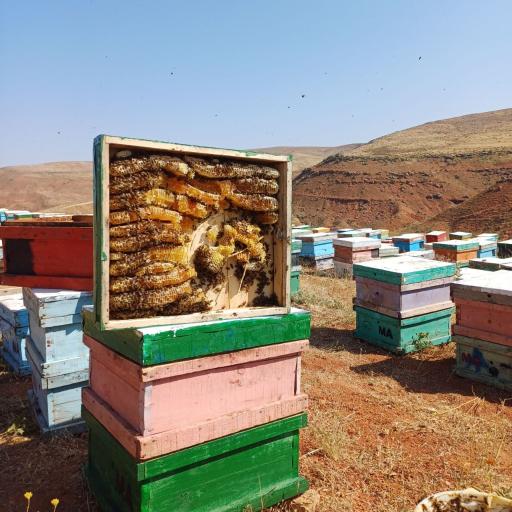 عکس عسل و ژل رویال سبحان