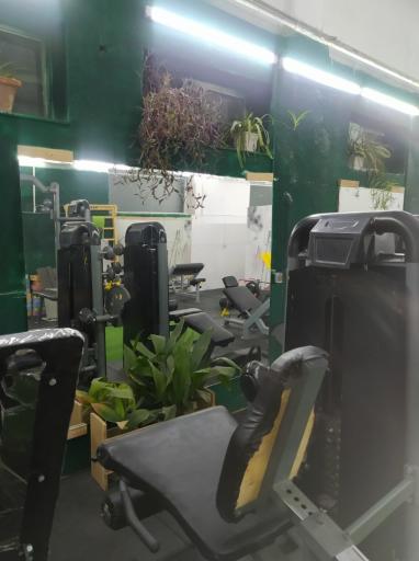 عکس باشگاه تندرستی سبز