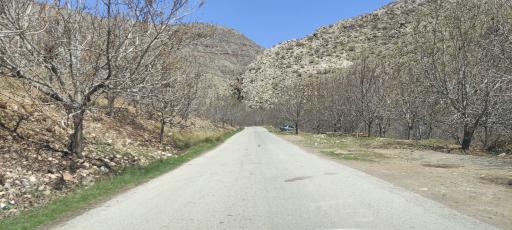 عکس مجموعه تفریحی طبیعی کهمان