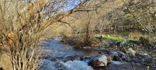 عکس مجموعه تفریحی طبیعی کهمان