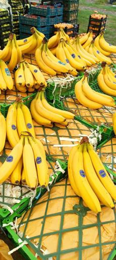 عکس پنجشنبه بازار کلاچای