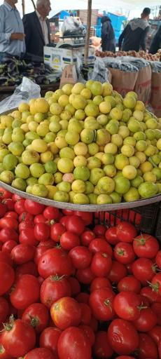 عکس پنجشنبه بازار کلاچای