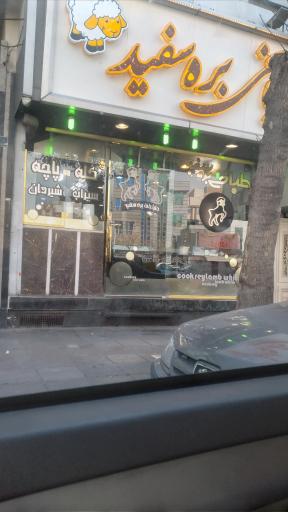 عکس طباخی بره سفید