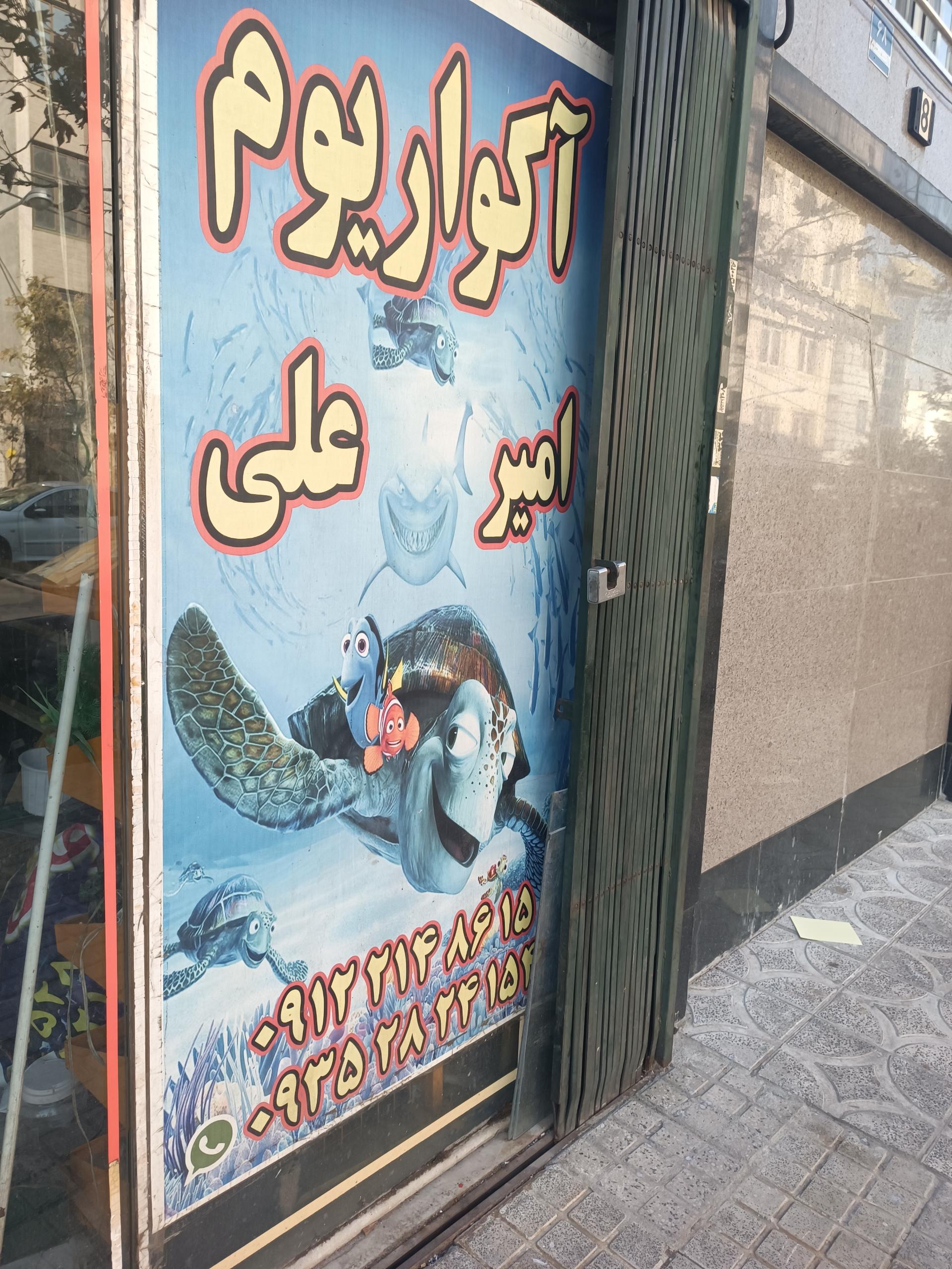 عکس آکواریوم امیرعلی