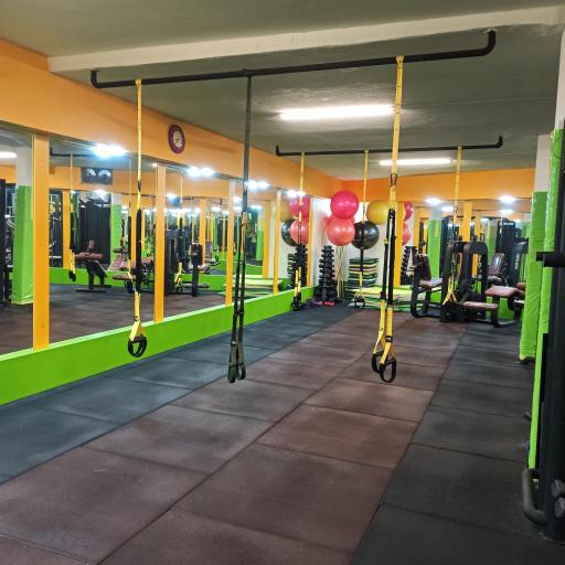 عکس باشگاه ورزشی بانوان ملورین