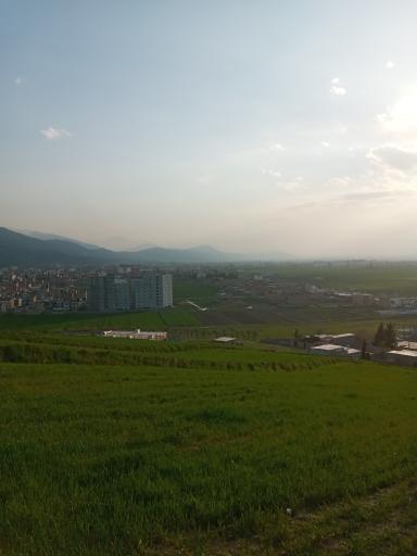 عکس گوگول