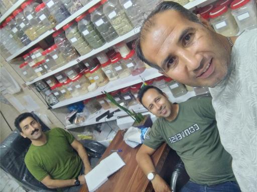 عکس طب سنتی حکیم زمانی