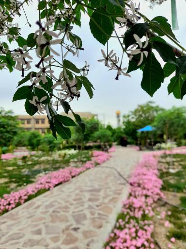 عکس بوستان شهید محمد معماریان