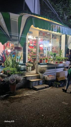 عکس دکه گل فروشی 