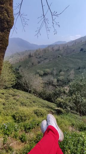 عکس ورکوره