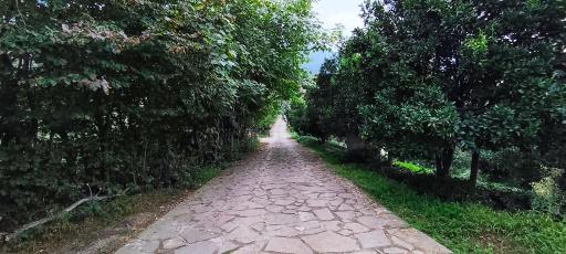 عکس ورکوره