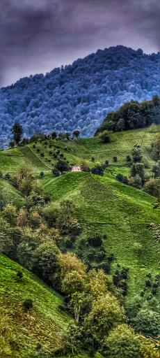 عکس ورکوره