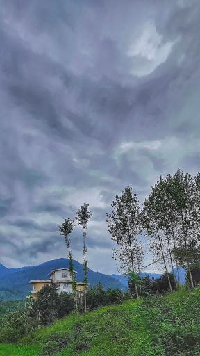 عکس ورکوره