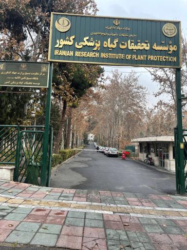 عکس شرکت فصل پنجم