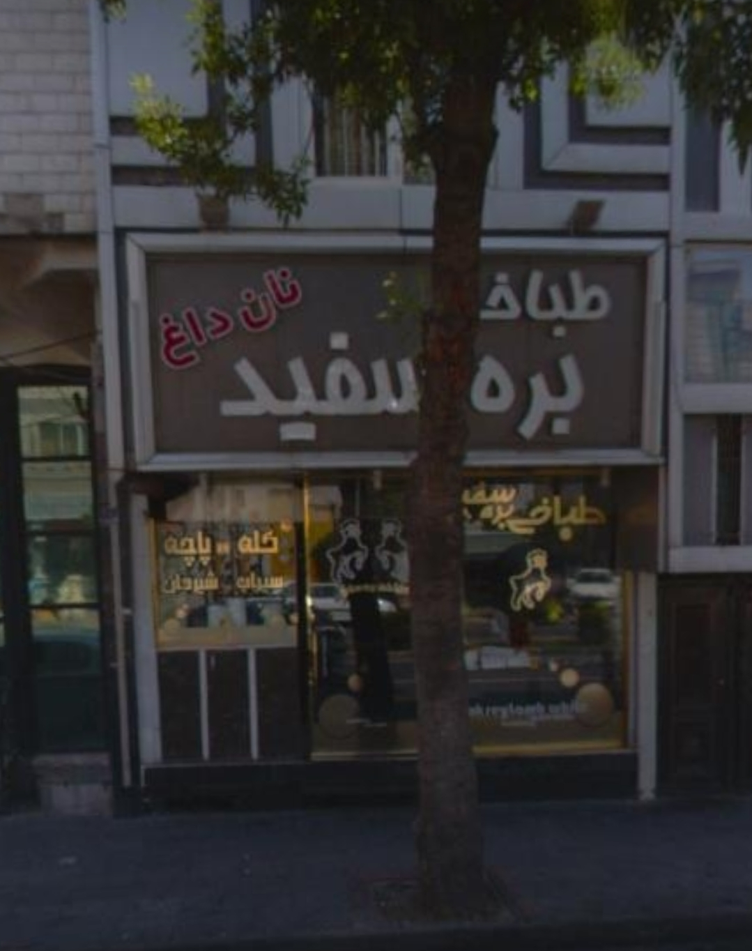 عکس طباخی بره سفید