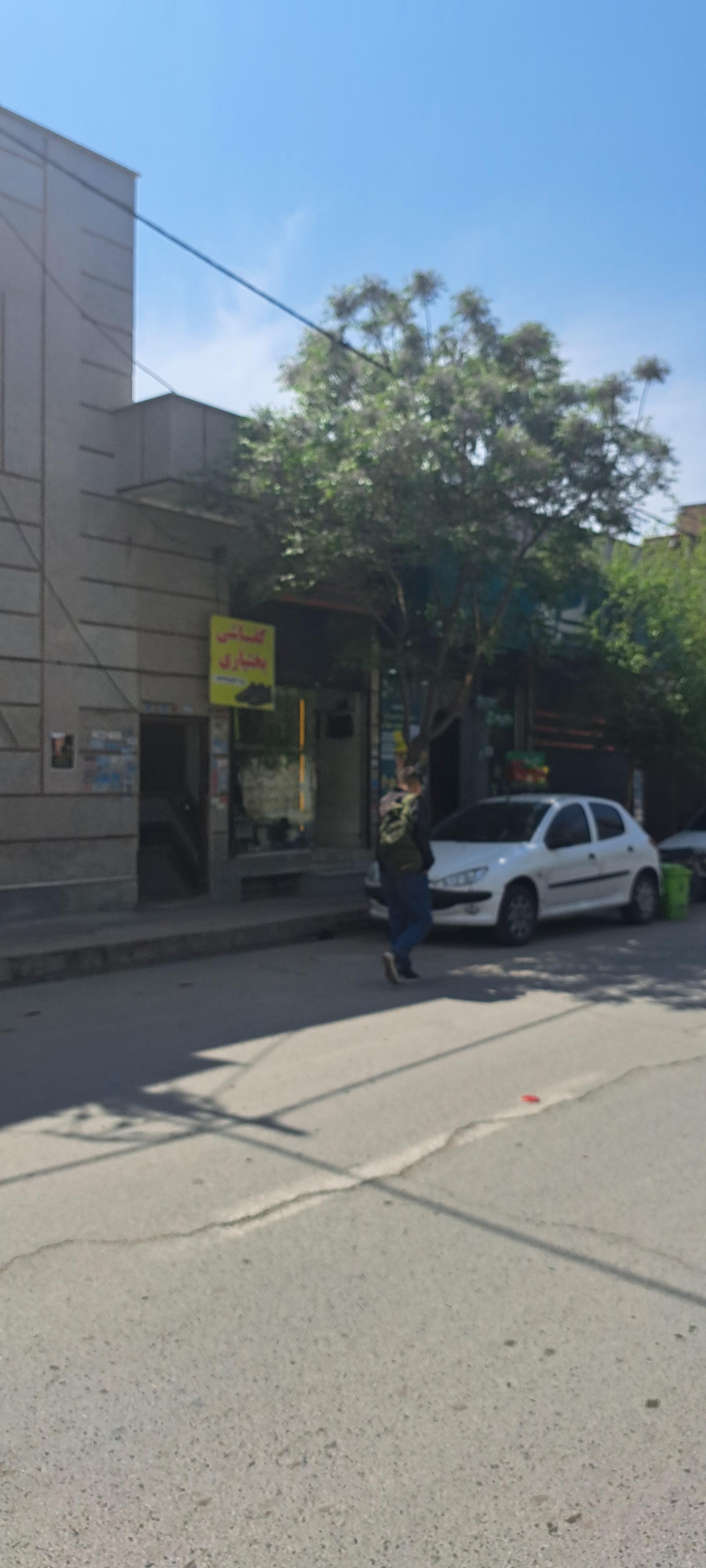 عکس کفاشی‌بختیاری