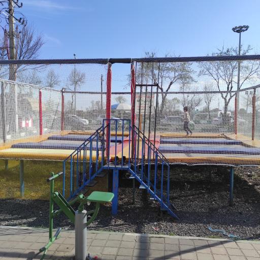 عکس ترامپولین میخک