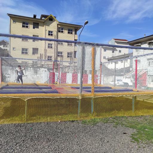 عکس ترامپولین میخک