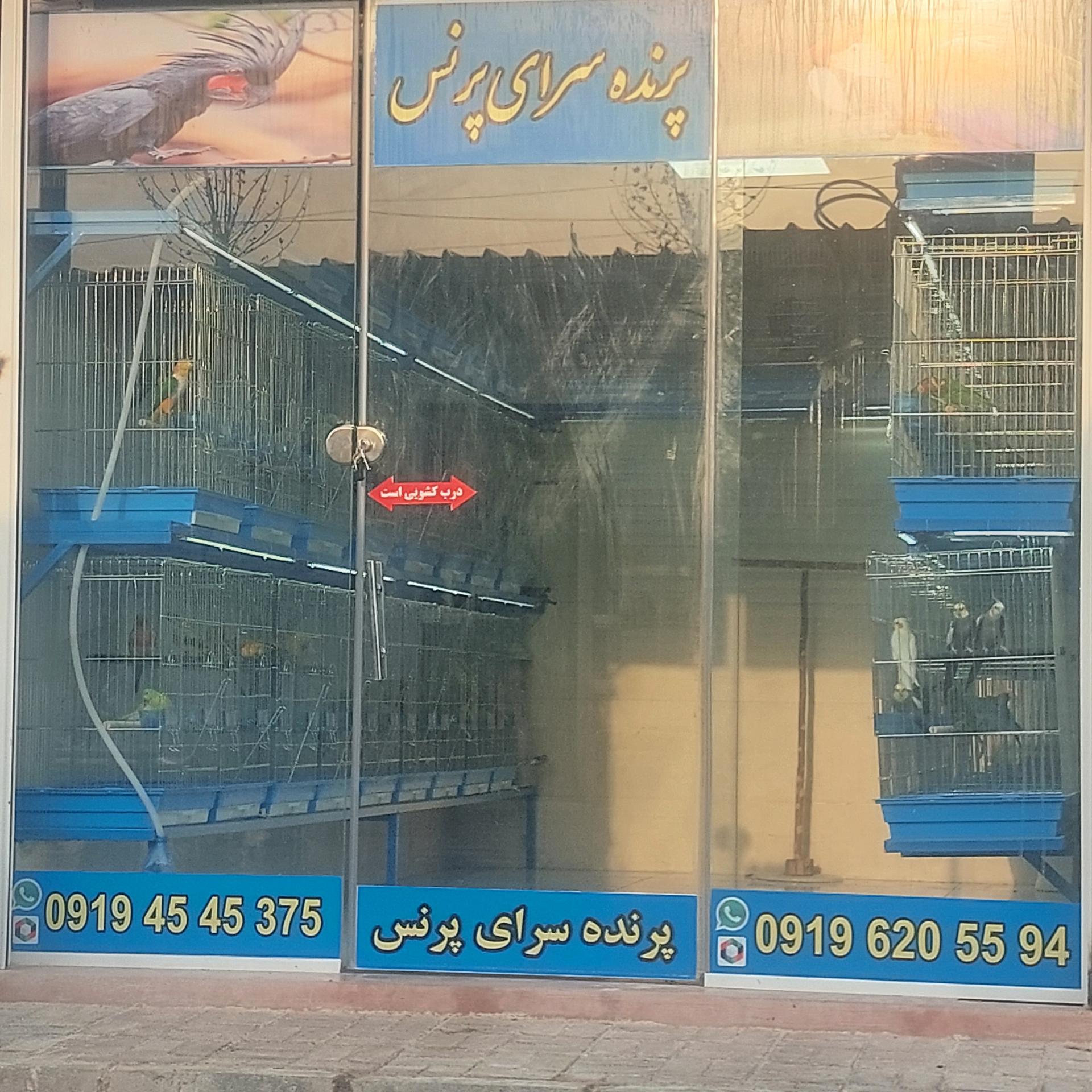 عکس پرنده سرای پرنس 