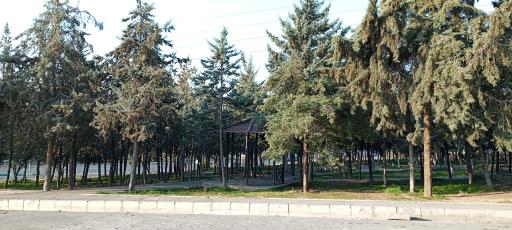 عکس بوستان تندرستی میانی