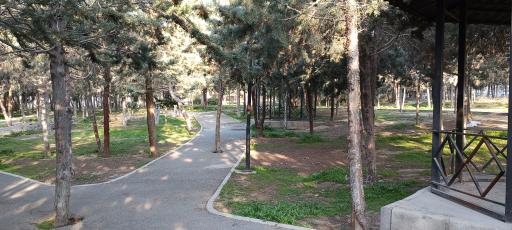 عکس بوستان تندرستی میانی